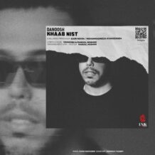 آهنگ جدید دانوش به نام خواب نیست